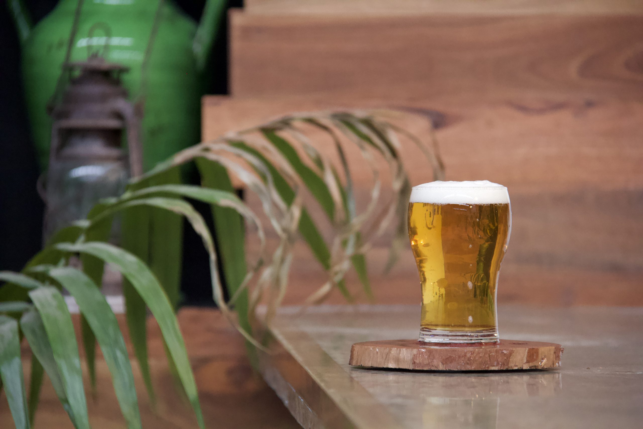 Beer tasting at The Collective