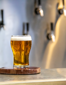 NEW Pale Ale